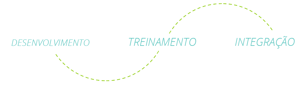 Desenvolvimento, Treinamento e Integração